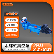 ���ҹ�Ӧ2BV5121/6121ˮ��ʽ��ձ�ǿ��������ҵ��ѹ�����Һ����