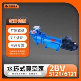 厂家供应2BV5121/6121水环式真空泵强力防爆工业负压抽真空液环泵