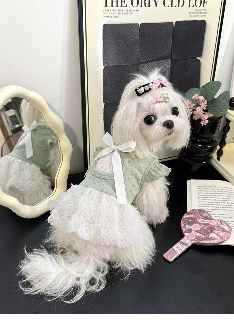 Vestido para cão estilo coreano roupa de princesa doce pet_voghion.com