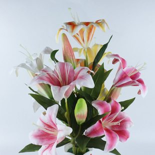 ���滨3�^�ָаٺϻ��ٻ���c�Ҿ��b���ֲ��������Ի�ֲ��