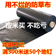 �ό����B���ݲ�������@���ݷ��ݵز��ɽ�������w�ݵ�Ĥ�r�È@ˇ