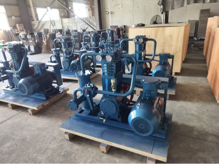 Zw0.8/10-16 Liquefied Gas Compressor Air Compressor Manufacturer's Special Offer for Special Gas Compressor Air Pump