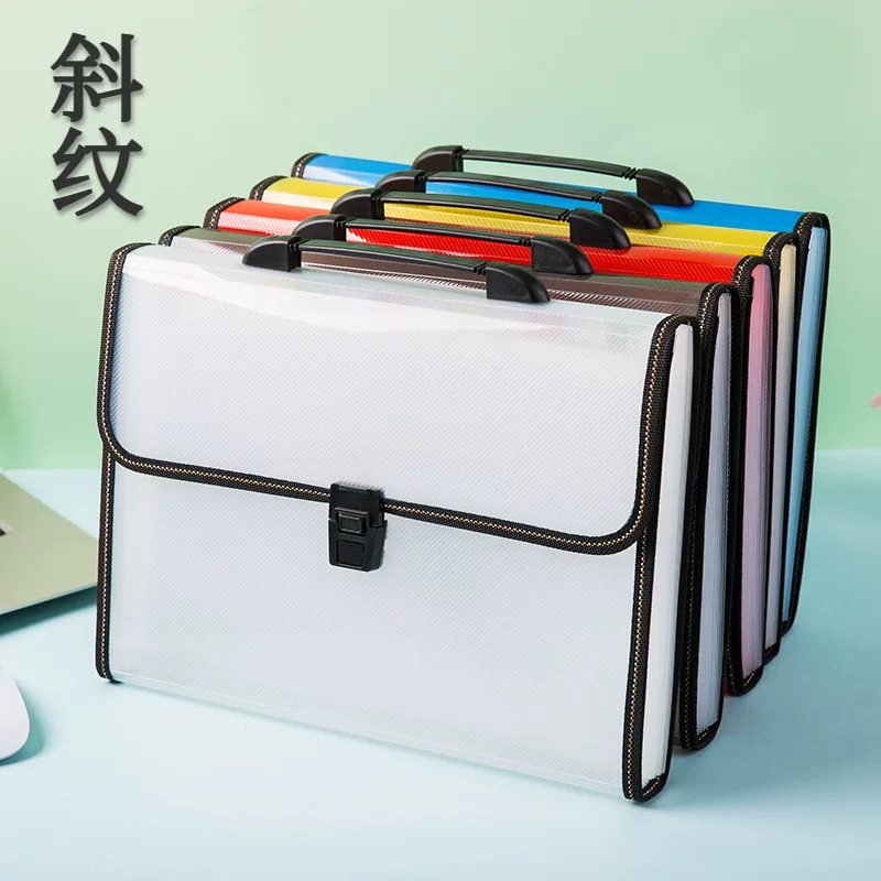 Organ, multilayer capacious folder, storage system for documents, organizer bag