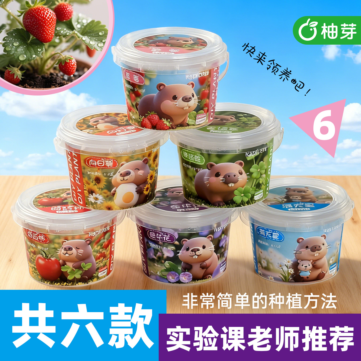 卡皮巴拉手提盆栽室内迷你桌面绿植学生儿童动手种植观景植物盆栽