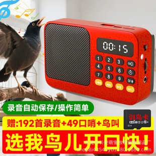 �˸�W�fԒ�CС�B�␞���x�C���P�����W�^�̰˸��fԒ�W���CӖ����