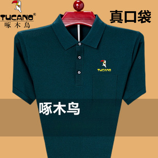 ��ľ�B��������ʿ����t���ļ�������zPOLO����a��ڴ��ְ��b