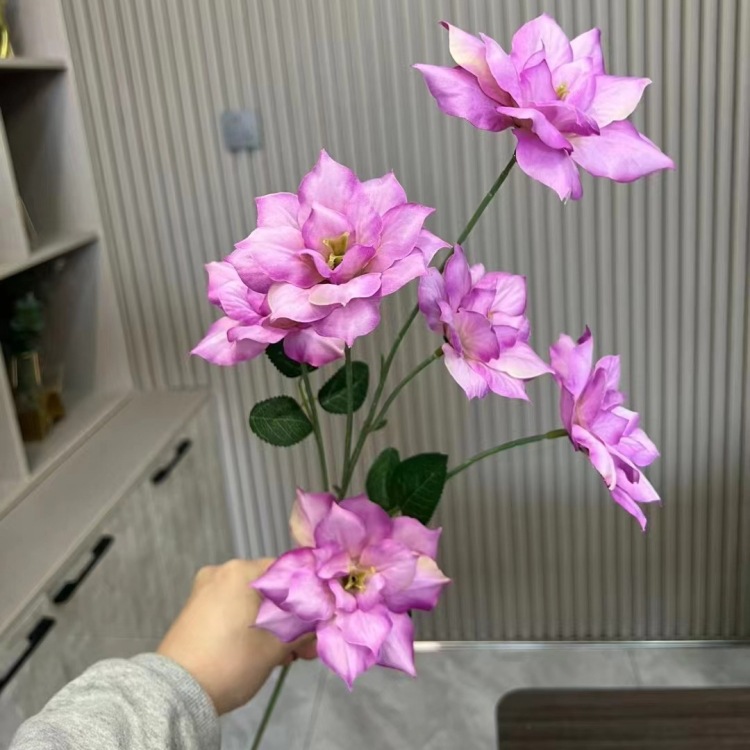 보라색