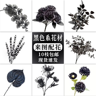 ��ɫϵ����c���ò廨��õ��ٻ���Y���b[���zӰ����