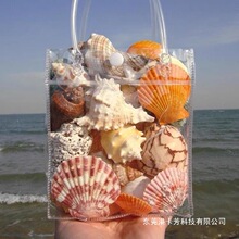 天然海螺贝壳海星珊瑚鱼缸水族装饰海洋diy材料摆件儿童玩具礼物