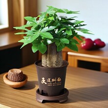 �lؔ�������������͏d��ؔ�҃����ԾGֲ�k���Ҷ������B�ļ����G