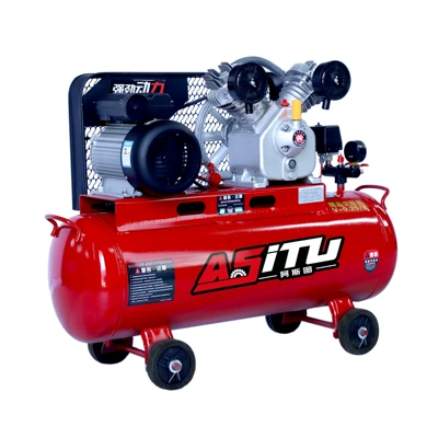Hava kompressorları Reciprocating 220V Small High-Pressure