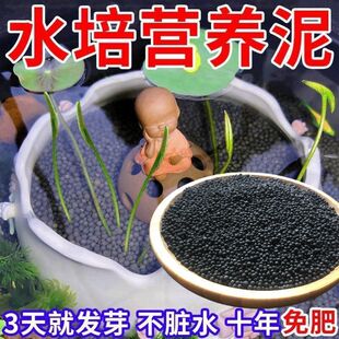 Special Mud for Bowl Lotus, High Fertility, Non-Stinky Water, Muddy Water, Water Lily Hydroponic Plant Nutrient Mud, Hot Sale Direct Sale