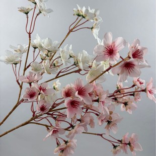 ���滨��֧�o�~С�һ������羳��c�Ҿ��b����컨���ϼٻ��߷���