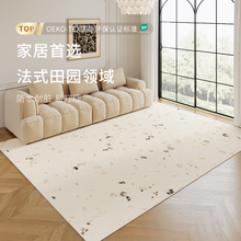 法式地毯客廳輕奢高級卧室沙發茶幾地墊家用免洗可擦床邊毯秋冬天