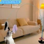 长杆羽毛吸盘猫咪逗猫棒