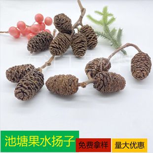 �}�Q���h��Ȧ�Ʒ�ɻ�����Ĕz���߸ɻ�1kg�����ɹ���ˮ���Ӹɹ�