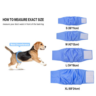 2023 Pet Pants Dog Safety Pants Pet Pants Bitch Pants Washable Dog Diapers