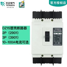 TENGEN����늚�DZ15�ܚ���·��3P�՚��_�P380V���_2P������l100A