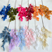 ɭϵ õ���~���滨 �Gֲ�~�ӻ�c��픻�����@�٘��~�Ҿ߲����b�