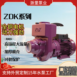 ����ZDKϵ�д������ߓP�̆�������ʽ��ˮ�x�ıù�ȹ���ˮ��