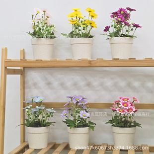 Simulation daisy bonsai Amazon small fresh fake flower decoration wholesale factory direct supply home decoration silk flower