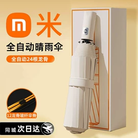 雨伞;晴雨伞;遮阳/太阳伞