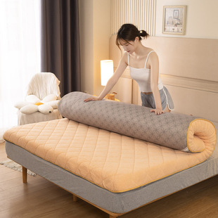 New thickened warm lambswool student dormitory mattress five-star hotel mattress factory wholesale bedding