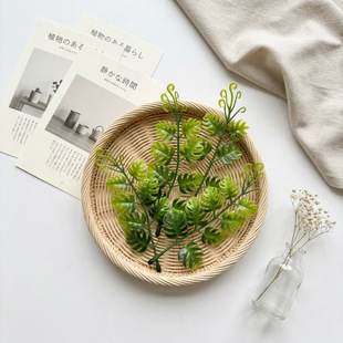 �羳�����ɰؾGֲֲ���b���֦�������������
