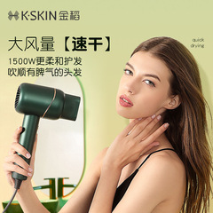 金稻負離子電吹風機護髮錘子大功率家用吹風筒批發禮品贈送KD318