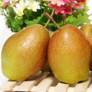 ������t�����桻�F؛����������rˮ�������t�摪�������������