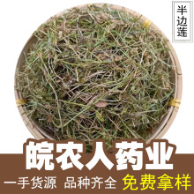 半边莲500g细米草急解索半边花箭豆干货瓜仁草中药材大全代发批发