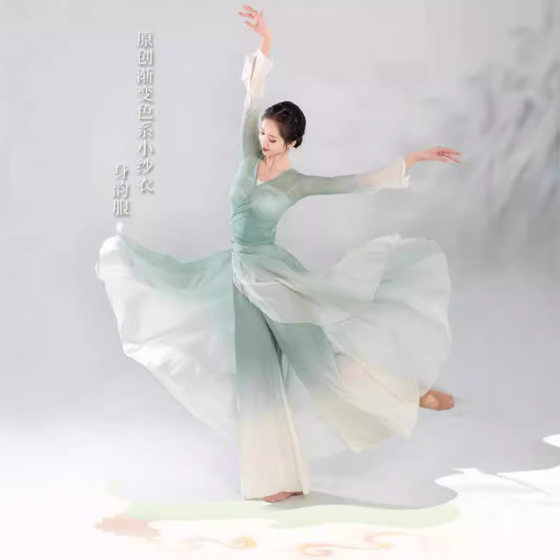 Chinese Dance Practice Clothes Classical Dance Clothes Fairy Style Antique Slimming Vacation Practice Clothes Classical Dance Performance Clothes Elegant