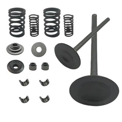Cylinder and parts for Honda Trx420 Ex