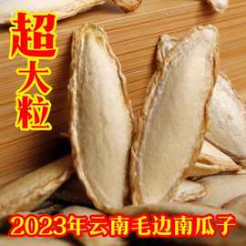 特大南瓜子原味炒熟盐焗南瓜籽大颗粒炒货土毛边2023年新南瓜子生