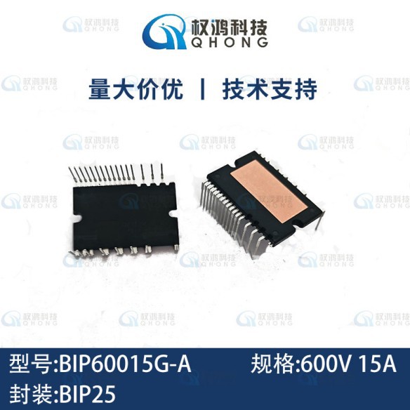 原装正品 比亚迪功率模块 BIP60015G-A 600V 15A IPM模块 BDIP-25