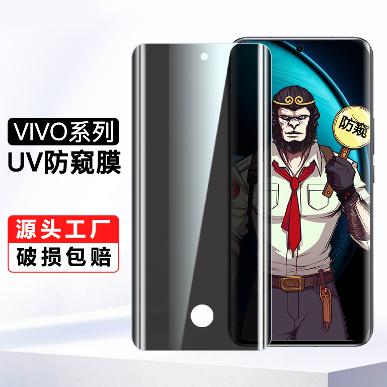 Vivox200Pro Privacy Film Uv Tempered Film X200 Mobile Phone Protective Film X100Pro Suitable for Xfold5