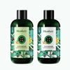 Refreshing smooth shampoo with bitter wormwood with ginger, perfumed set, oil sheen control, deep cleansing