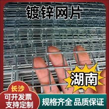 镀锌网片鸟笼养鸡网机械设备防护网菜园围网防蛇网围栏栅栏网防锈