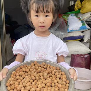 ����؎XҰ��ɽ�Һ�500g��MС�����w��Ұ�Һ�С�Һ����Ӻ˺���