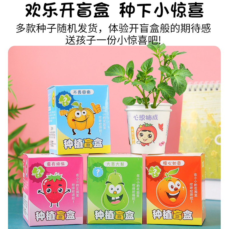 小学生植物盲盒儿童种植小盆栽幼儿园观察植物种子迷你小礼品
