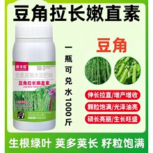 ������ֱ�ض���ר��Ҷ�����ʶ��ǻƶ��������������ֱ����ר��