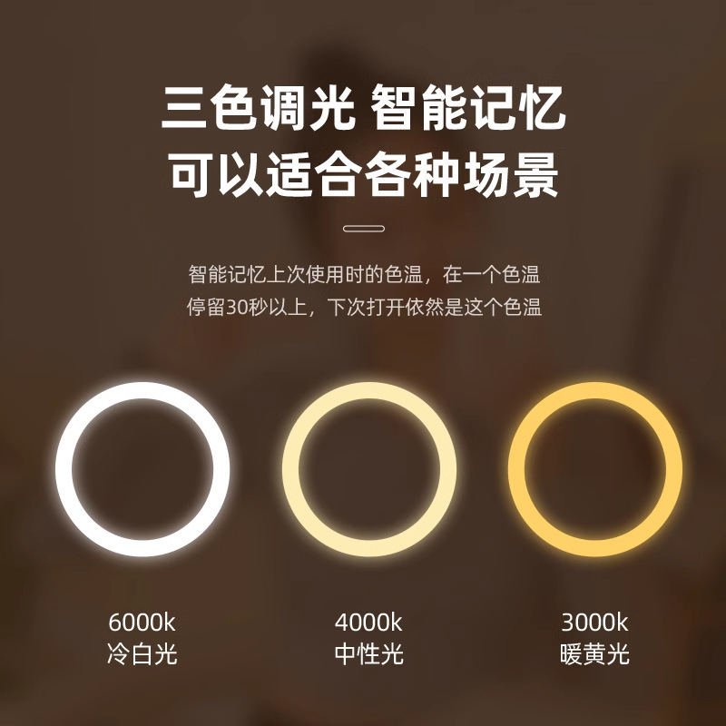 led智能化妆镜带灯女生卧室梳妆台梳妆镜学生宿舍桌面补光小镜子|undefined