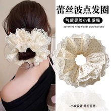 ��ʽ����̖�ٽz���c���c�lȦŮ���|�����^�l�K���^�lƤ���Rβ�^�K