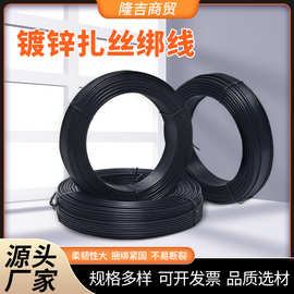 电镀锌铁丝扎丝  葡萄园艺电线扎丝电缆扎线 pvc包塑扎线绑丝