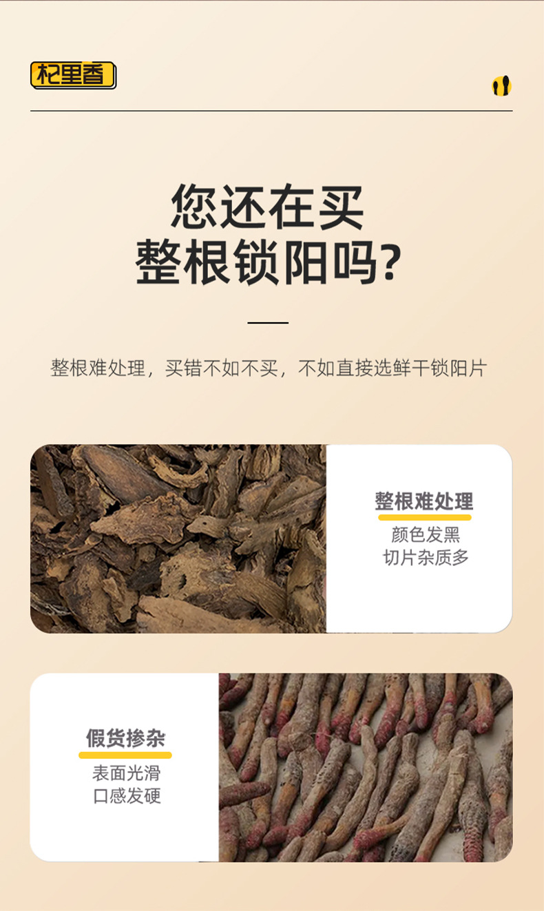 Dried Cynomorium Songaricum Slices Suo Yang 250g Alxa Origin Sun Dried Herbal Decoction Pieces overview