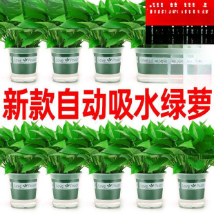 GֲԺBG}҃ȳȩ՚ˮֲ