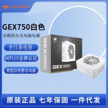 骨伽GEX750W金牌全模组电源ATX宽幅静音纯白色台式机电脑主机电源