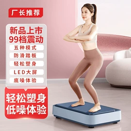 其他健身器材;健腹器;甩脂机