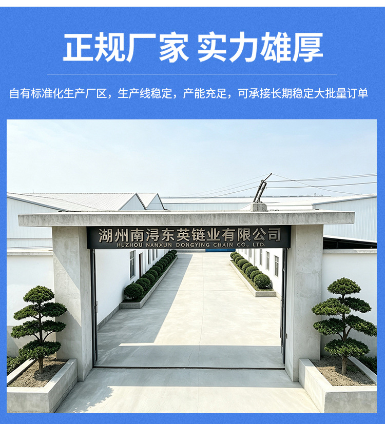 25H Camshaft Timing Chain Motorcycle Engine Timing Chain Direct Sales from the Source Factory High Quality