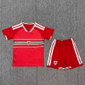 26-27 wales home game